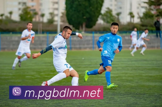 pg电子APP 高清赛事图